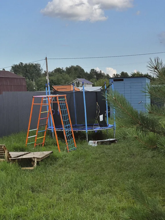 Дом с душой у соснового леса