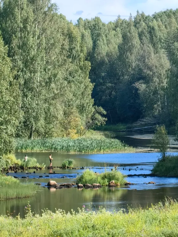 Деревянный дом из сруба на огромном участке с собственным берегом