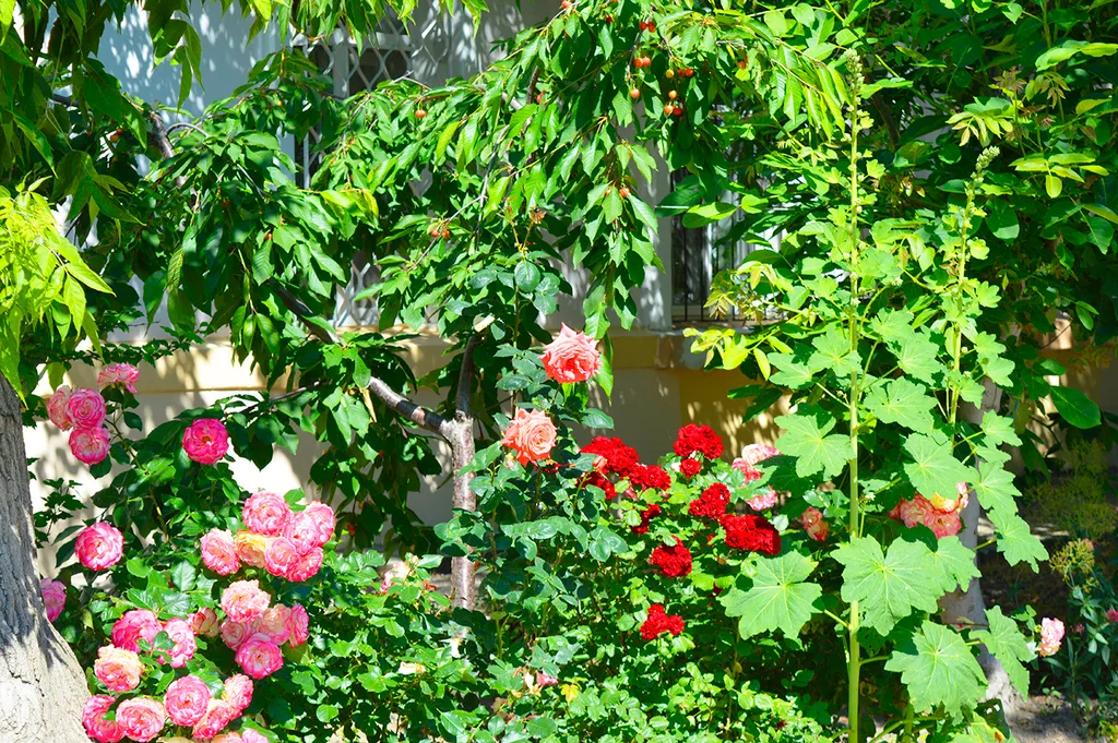 Дом рядом с морем и своим двориком