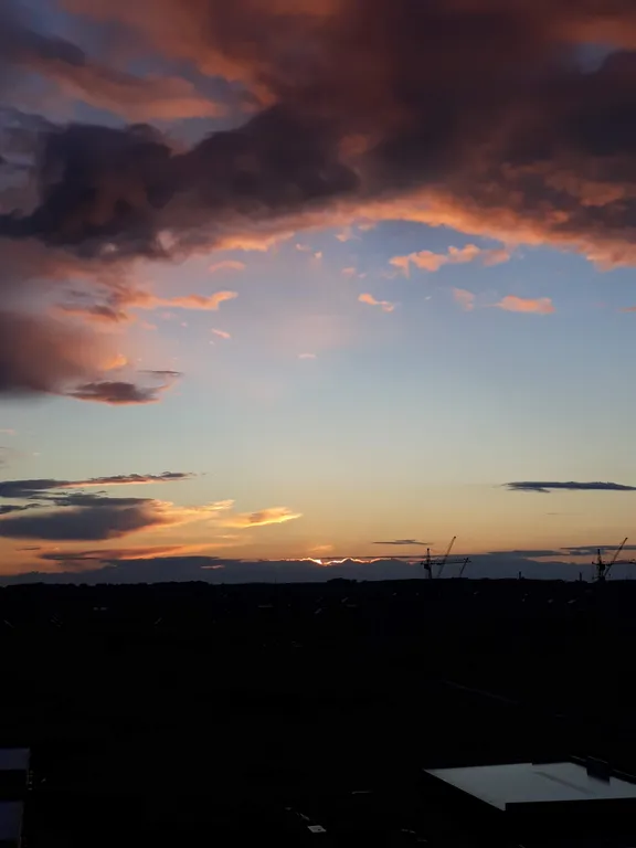 Рыжий Кот Дружный (просторная 2-ка с изолированной спальней)