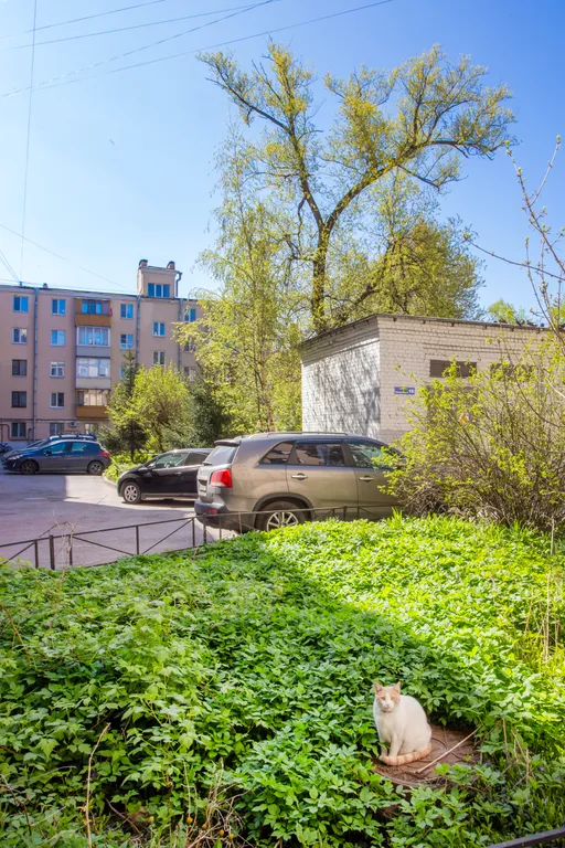 Квартира 1-комнатная Квартира — Санкт-Петербург