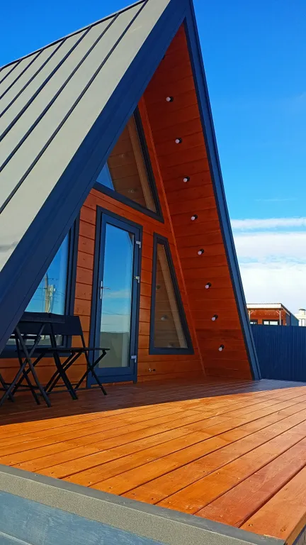 Стильный дом рядом с лесом