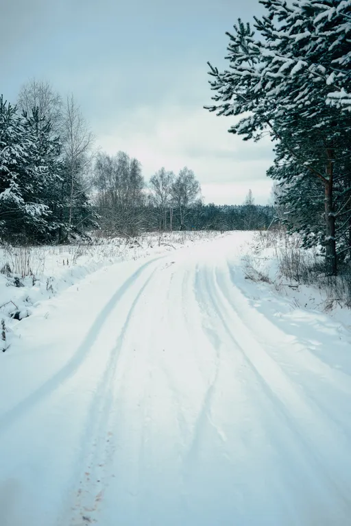 Арт-баня дюпло возле реки в окружении реликтового леса