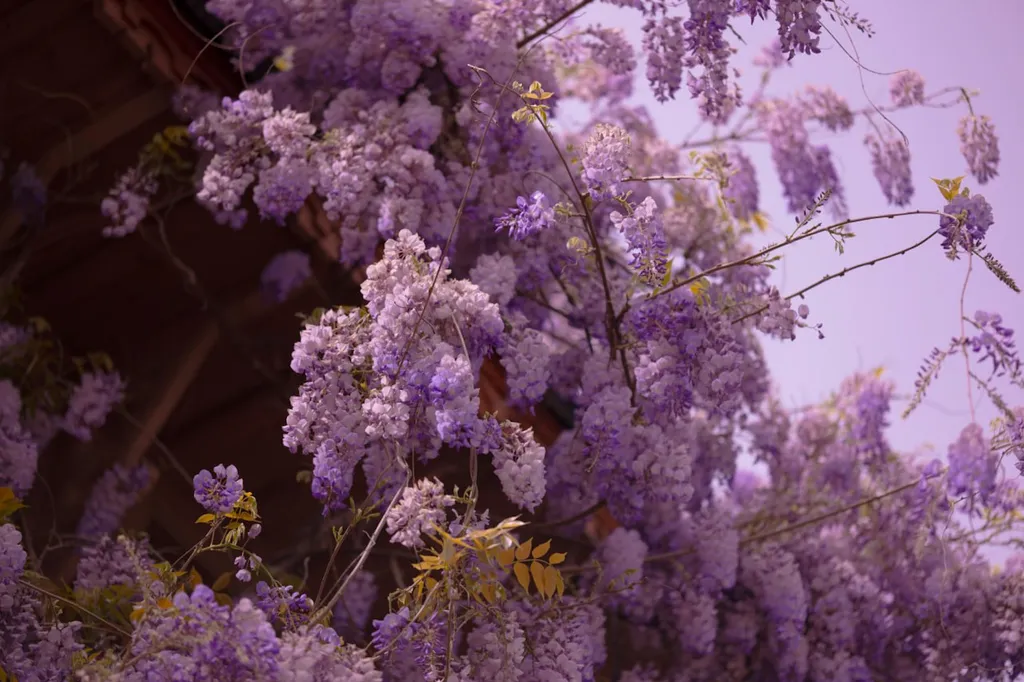 Гермес в доме-музее XIX века