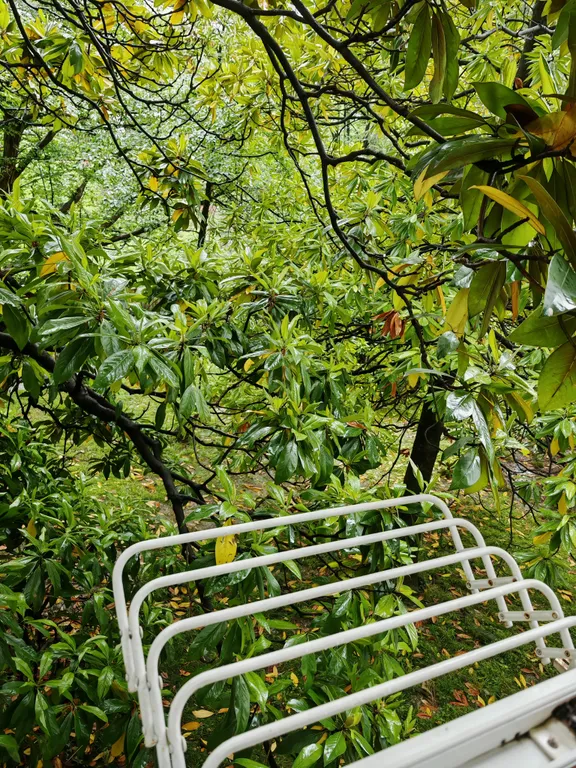 Квартира Квартира Студия с выделенной зоной лоджии на первой береговой линии — Сочи