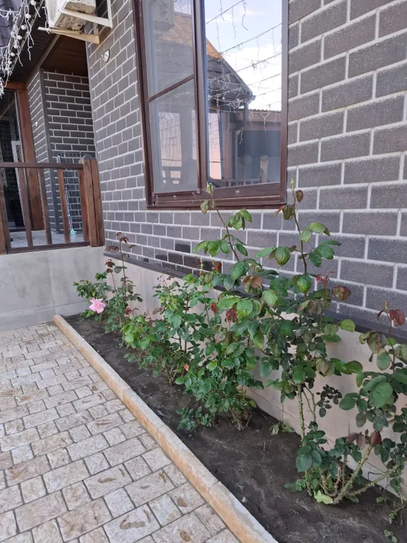 Семейный дом на берегу моря