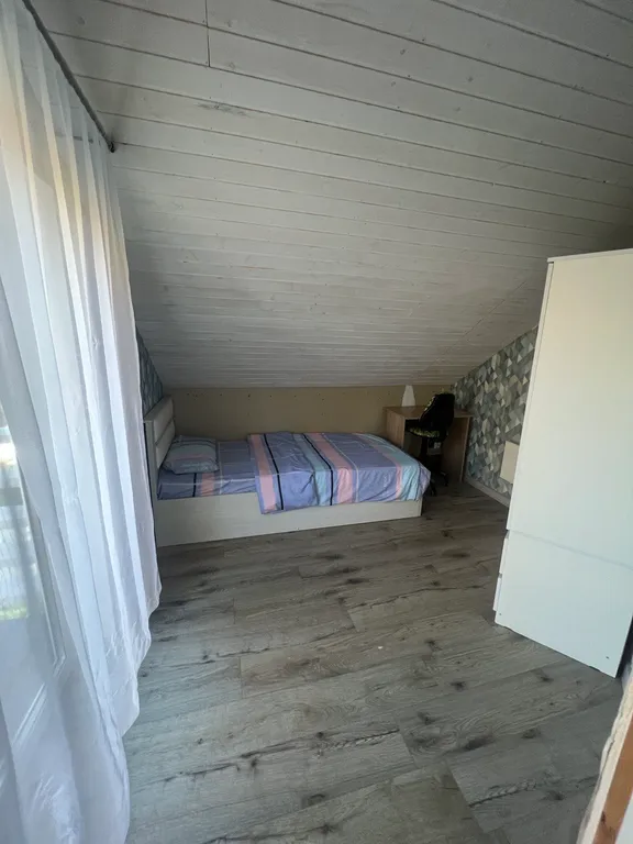 Дом с березовым лесом на участке