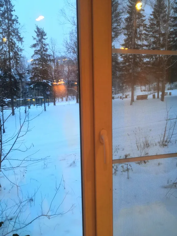 Комната с видом на парк лес, зелень