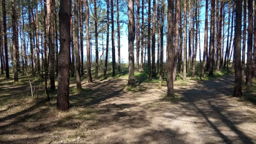 Комфортный дом с баней на дровах