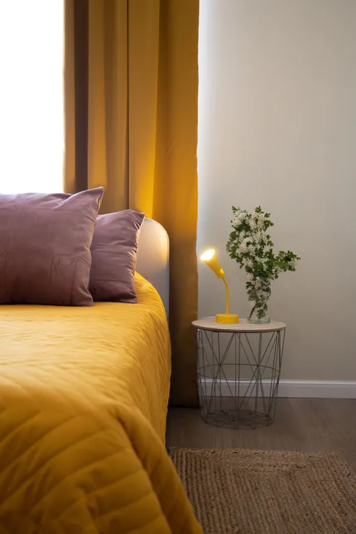 Квартира Апартаменты для уединенного отдыха и тишины — Светлогорск