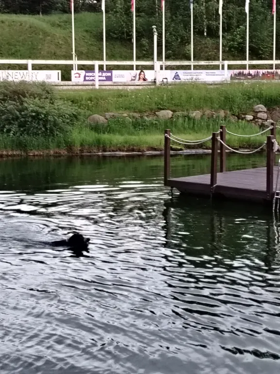 Уединенная часть дома с садом и барбекю