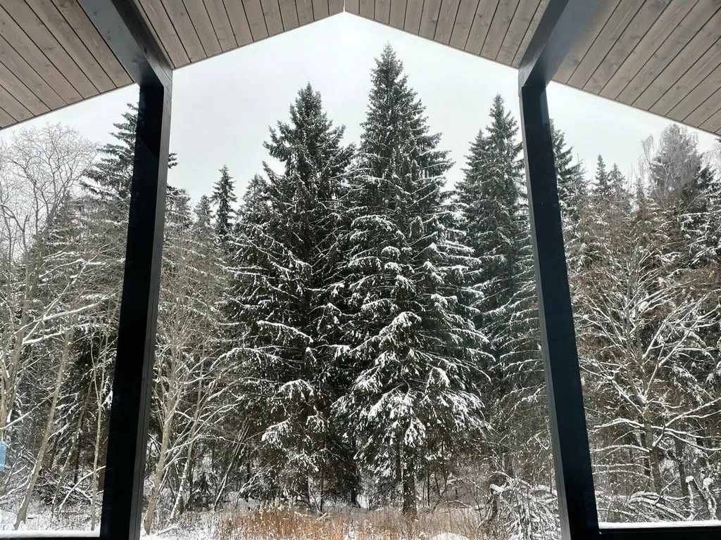 Барн с панорамными окнами с видом на дикий лес