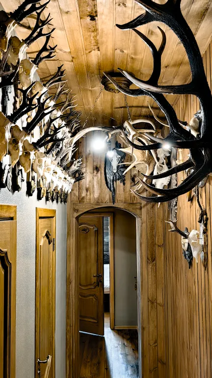 Дом в Беловежской пуще