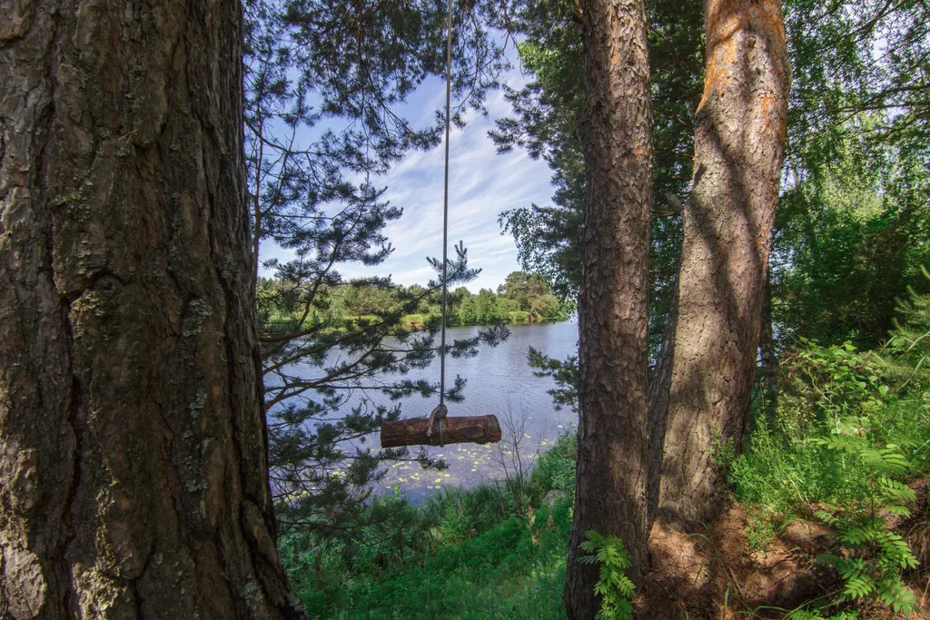 Уютный деревянный дом на берегу реки