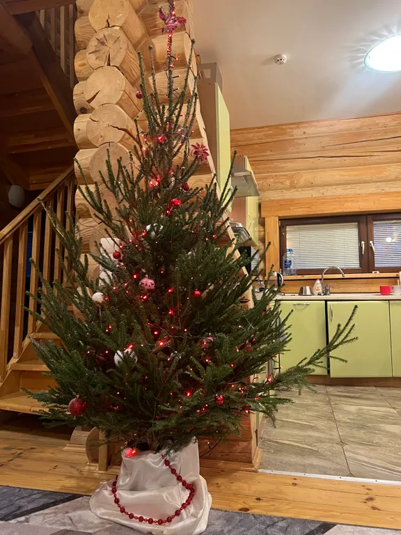 Коттедж на Новый год у воды