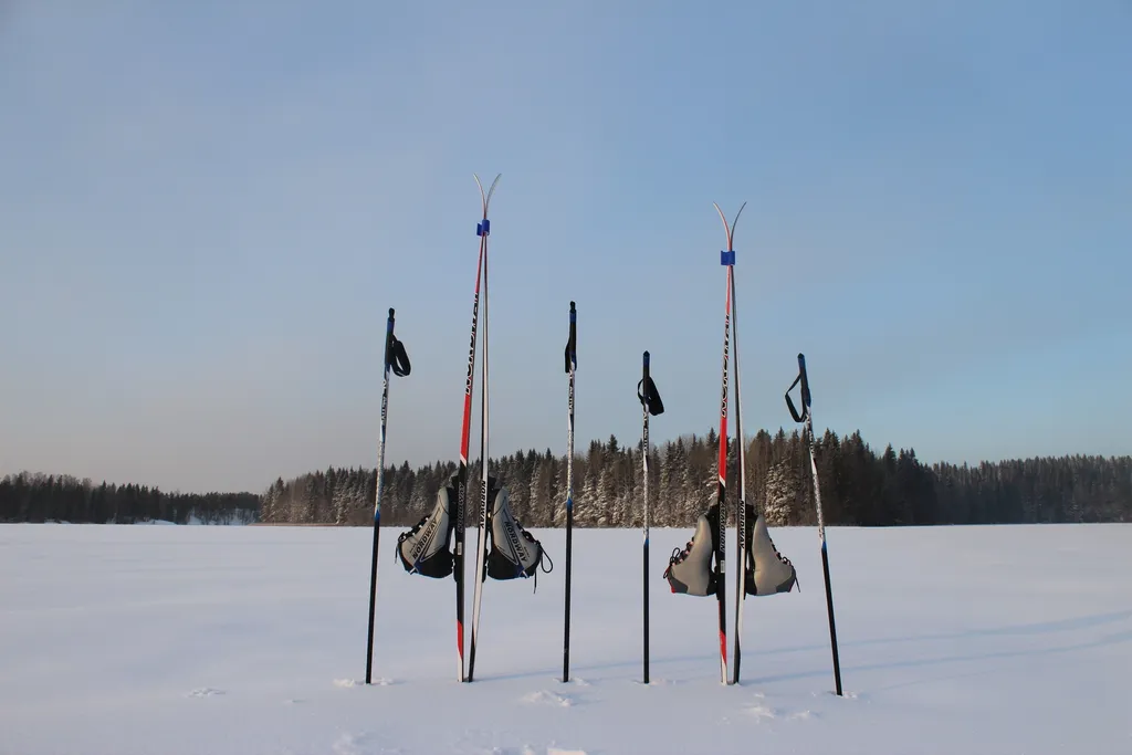 Коттедж с 3 спальнями, сауной, с видом на лес