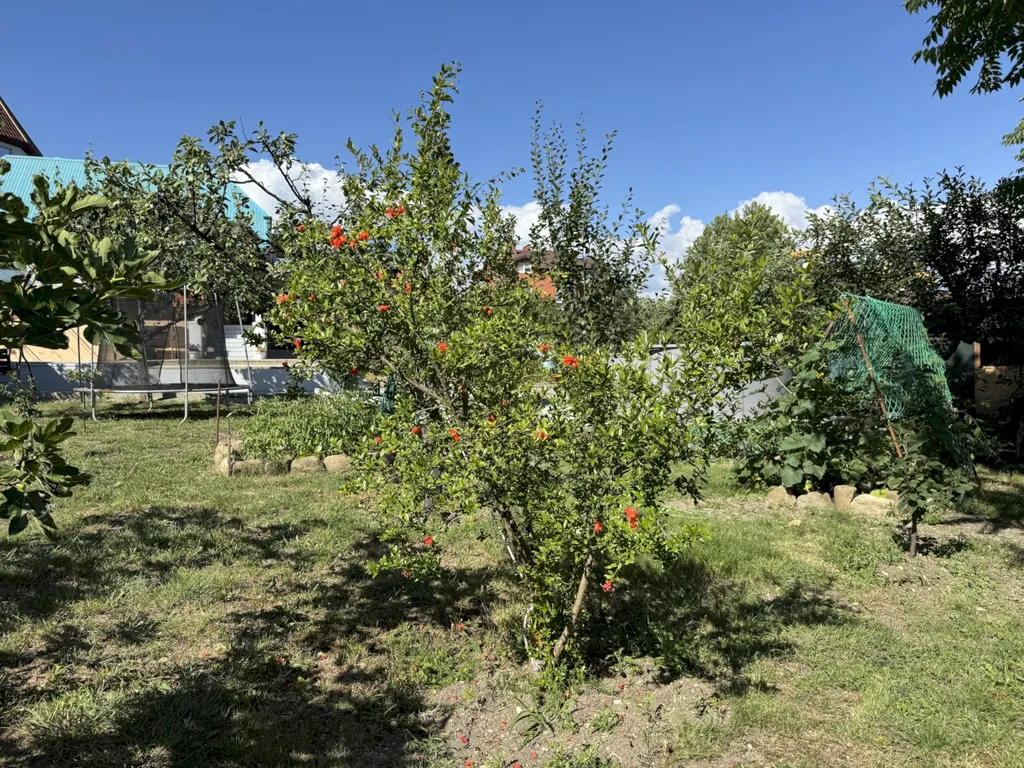 Коттедж Дом в Голубой бухте — Геленджик