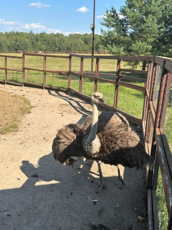 Дом в Капитан клаб с видом на закаты