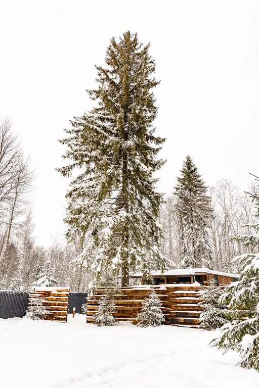 10 минут до Игоры, 100% удовольствия: база отдыха Шишкин Place!