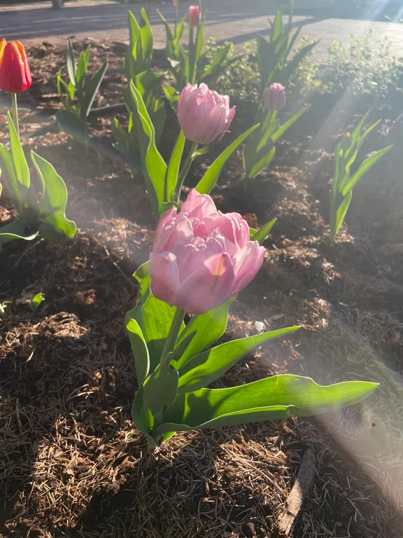 Дом в Раифе