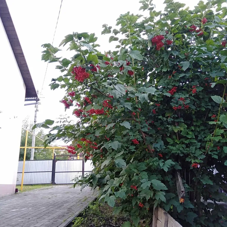 Замечательный отдых в прекрасном доме в курорте Краинка