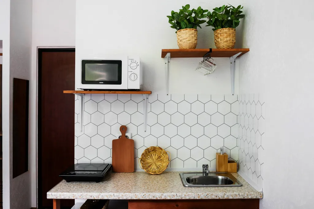 Студия рядом с зоопарком II