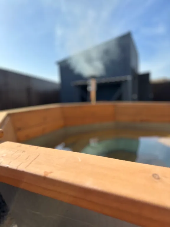 Коттедж Современный дом в окружении леса — Семеновское