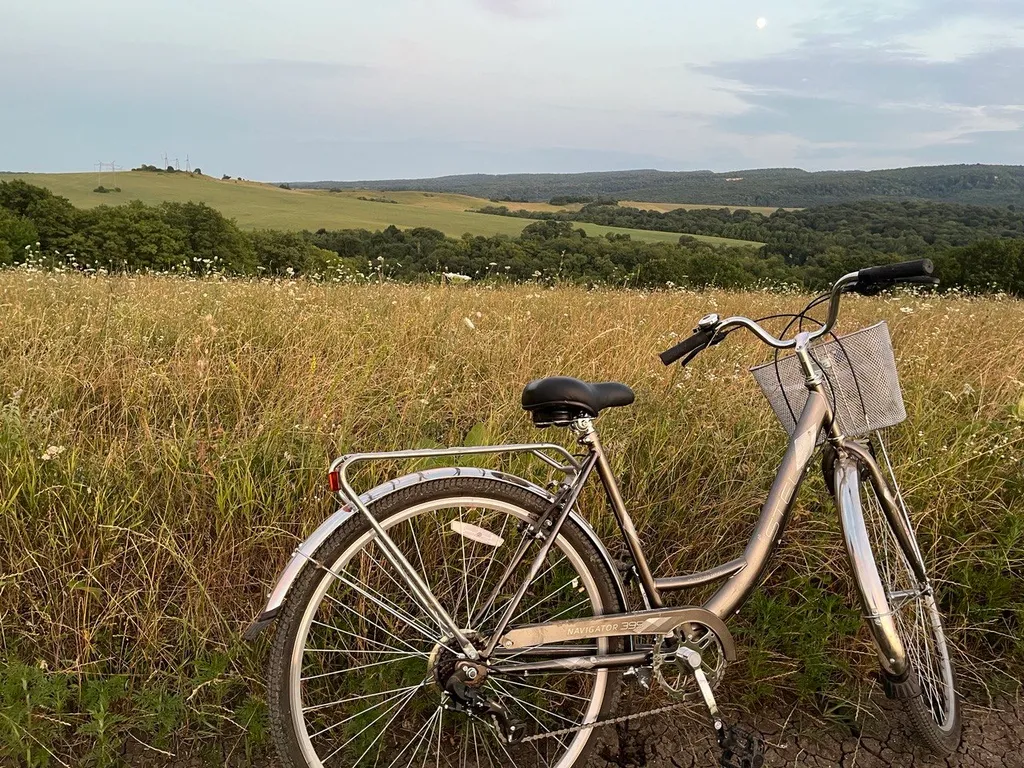 Дизайнерский дом