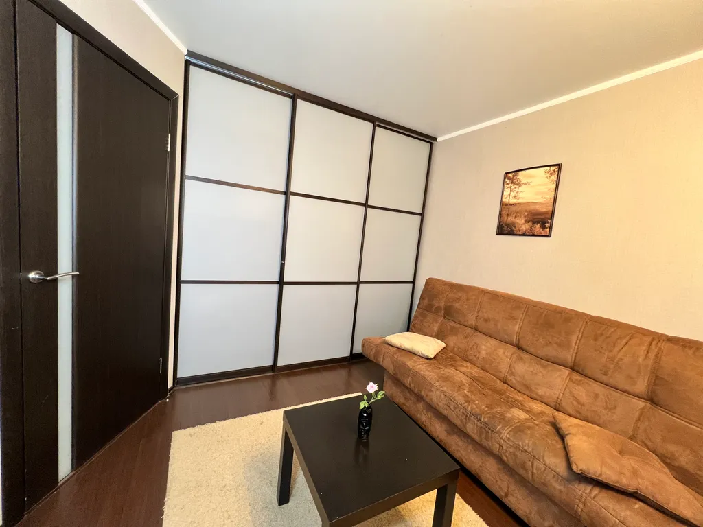 1-комнатная квартира в деловом и историческом центре города с новогодней елкой