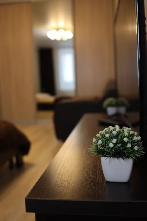 Стильная современная квартира, в центре Фокинского района.