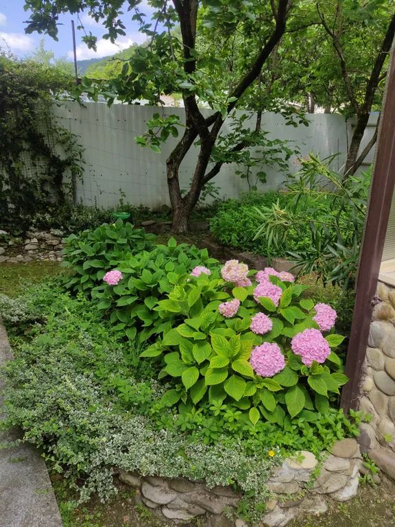 Дом с видом на горы