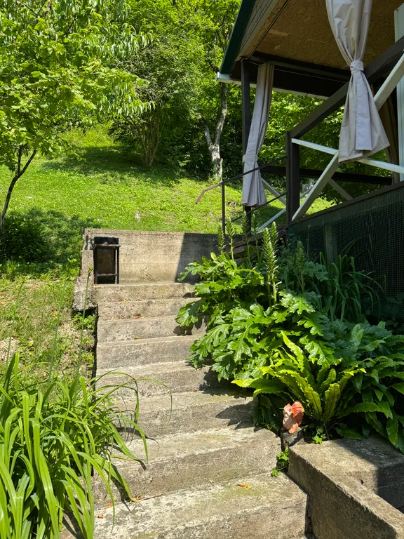 Коттедж Домик в лесу — Сочи