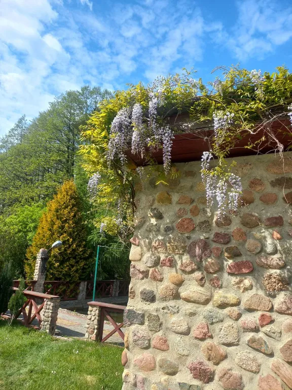 Уютный домик с баней, камином и террасой возле пруда