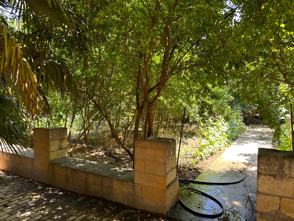 Огромный дом со всеми удобствами