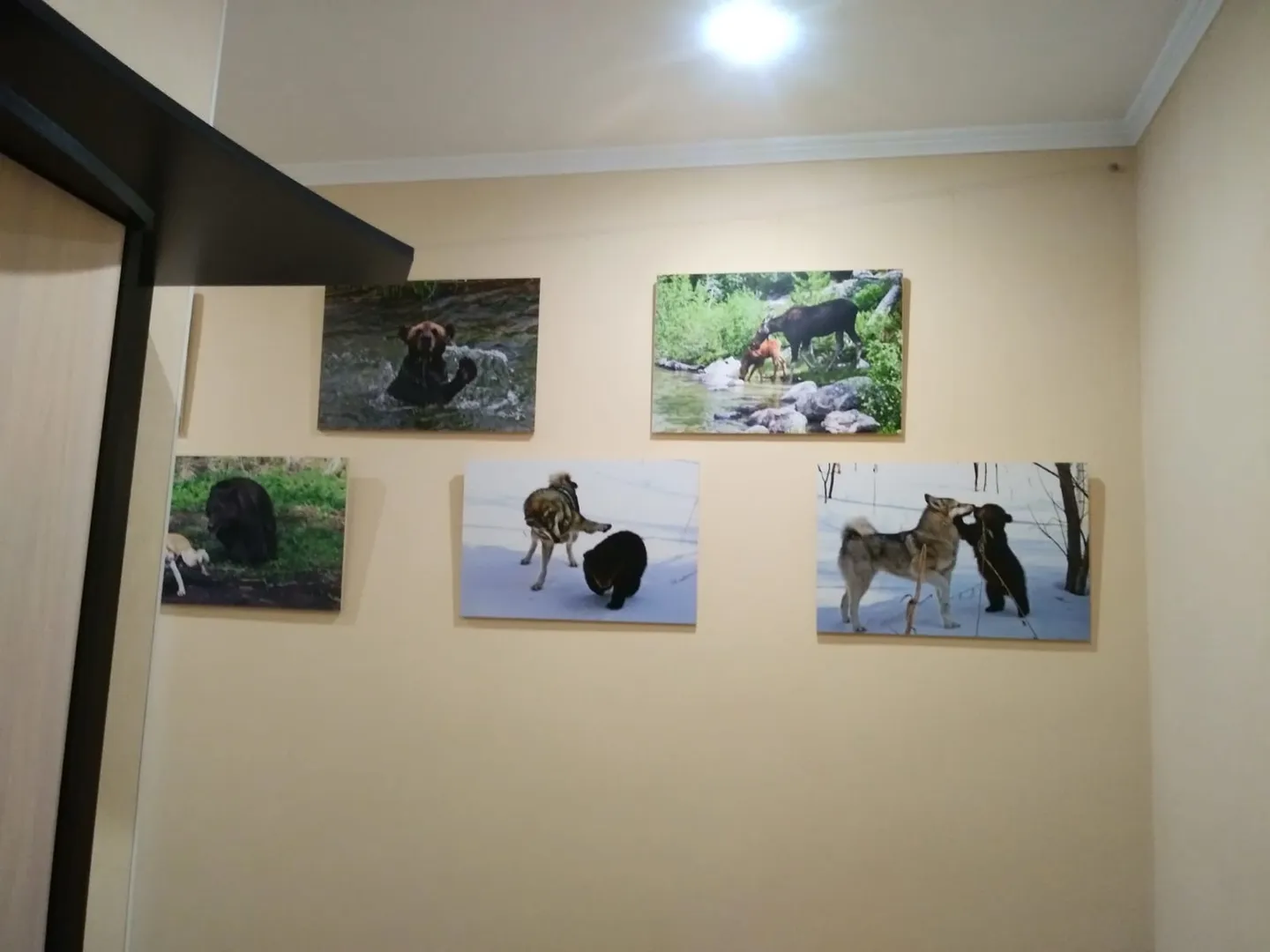 Фото