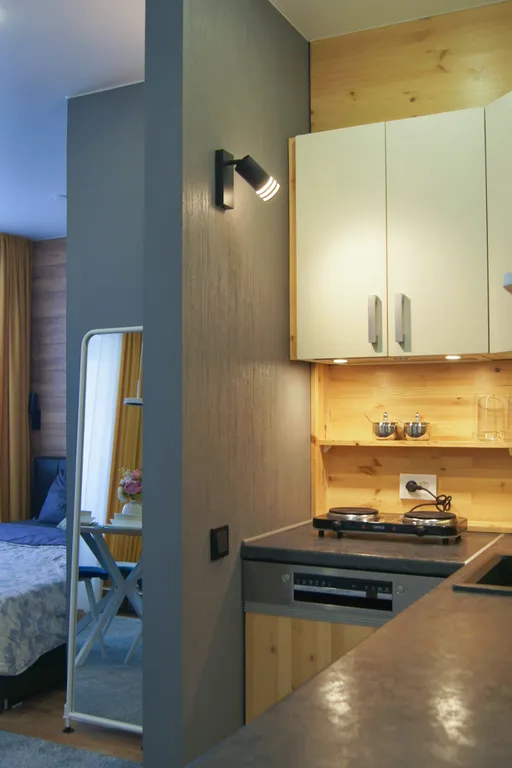 Стильная евро-двухкомнатная квартира на Томск1