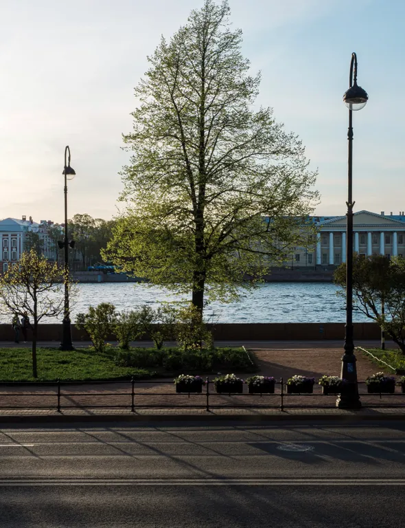 Квартира с видом на Неву