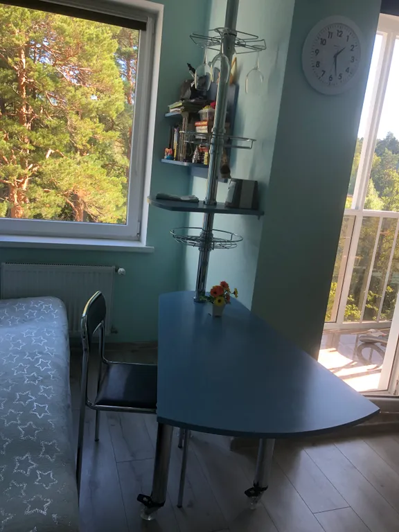 Квартира Квартира Гнёздышко у озера — Светлогорск