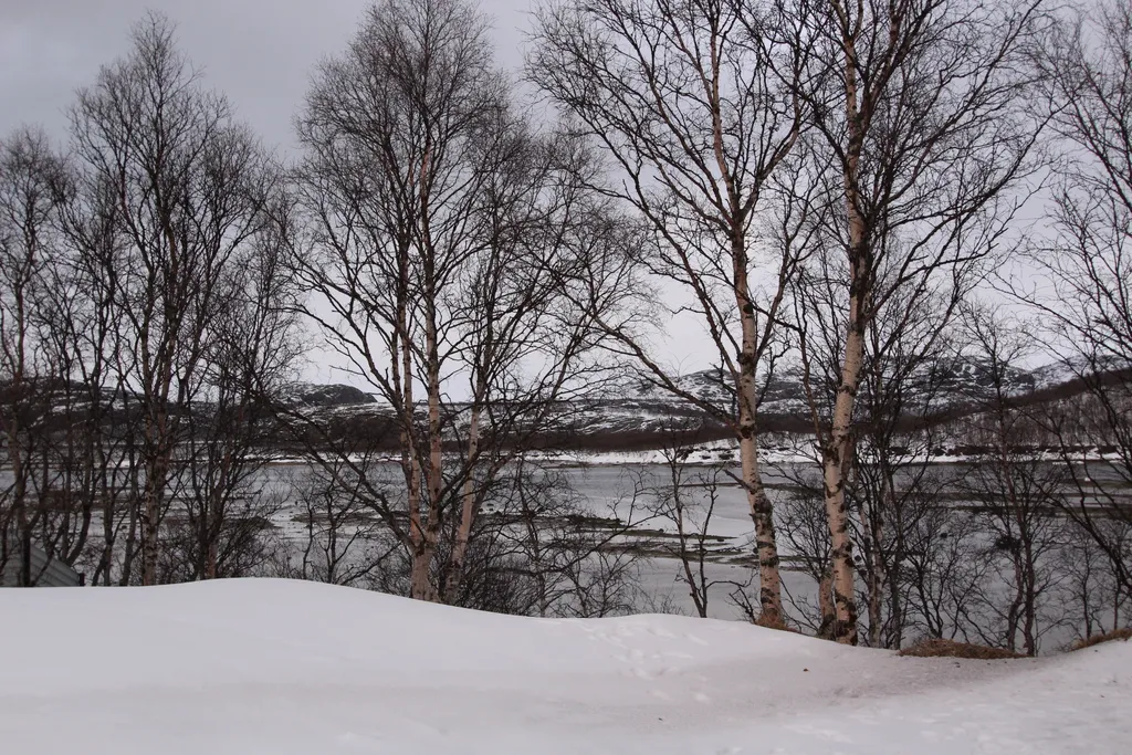 Гостевой уютный дом Соль Севера с баней на берегу залива Ура