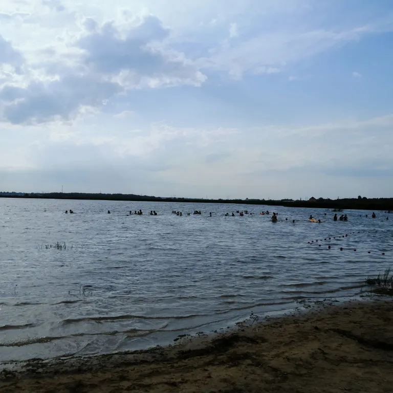 Дом с баней, бильярдом и бассейном