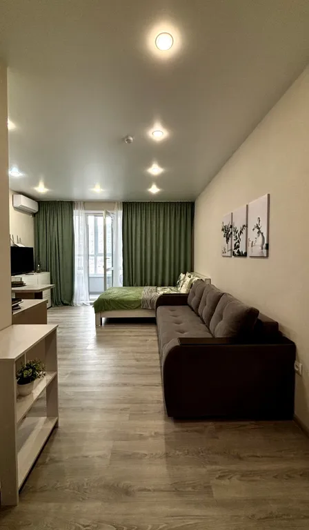 Студия в эко стиле в доме бизнес класса