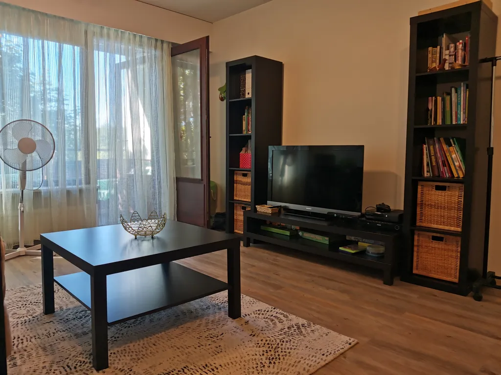 Scandinavian City Apartment