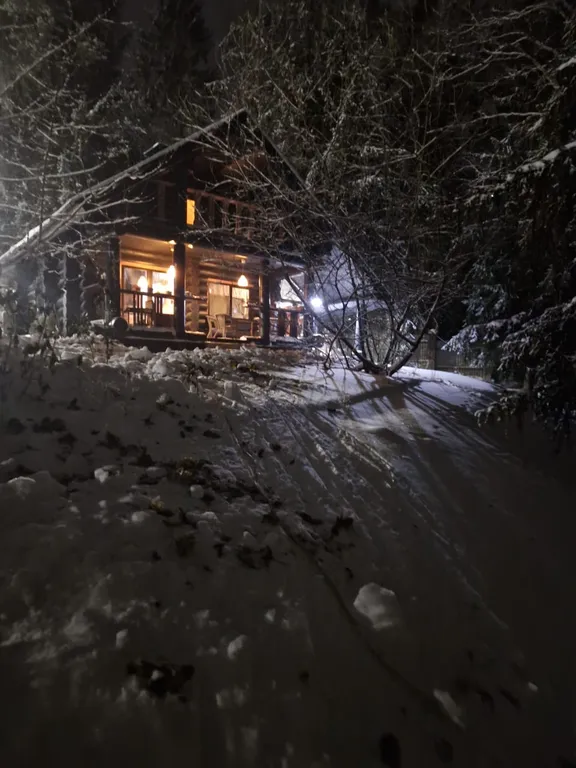 Коттедж Эко-дом у озера: отдых вдали от суеты — Лебяжье