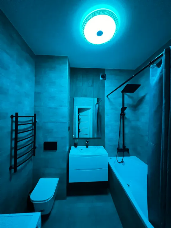 Центр города, элитный дом