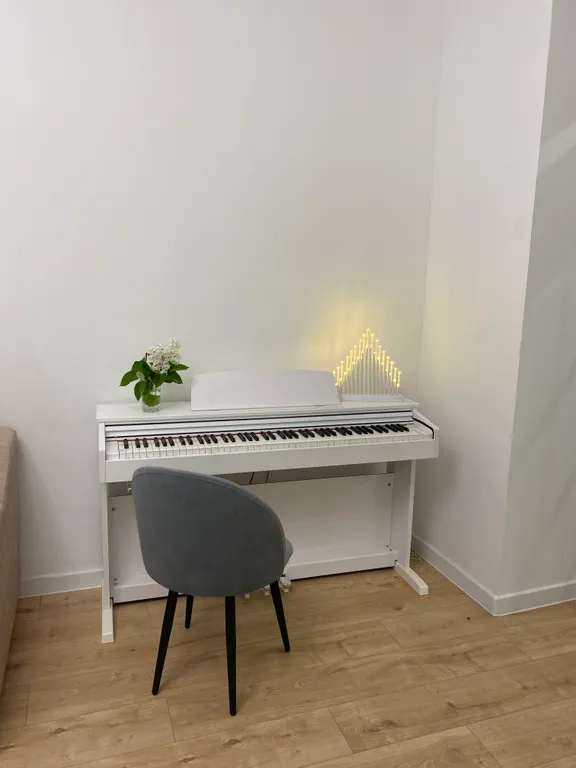 Квартира профессора в 7 минутах от жд вокзала