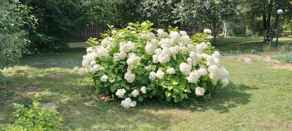 Домик с русской печкой и со всеми удобствами