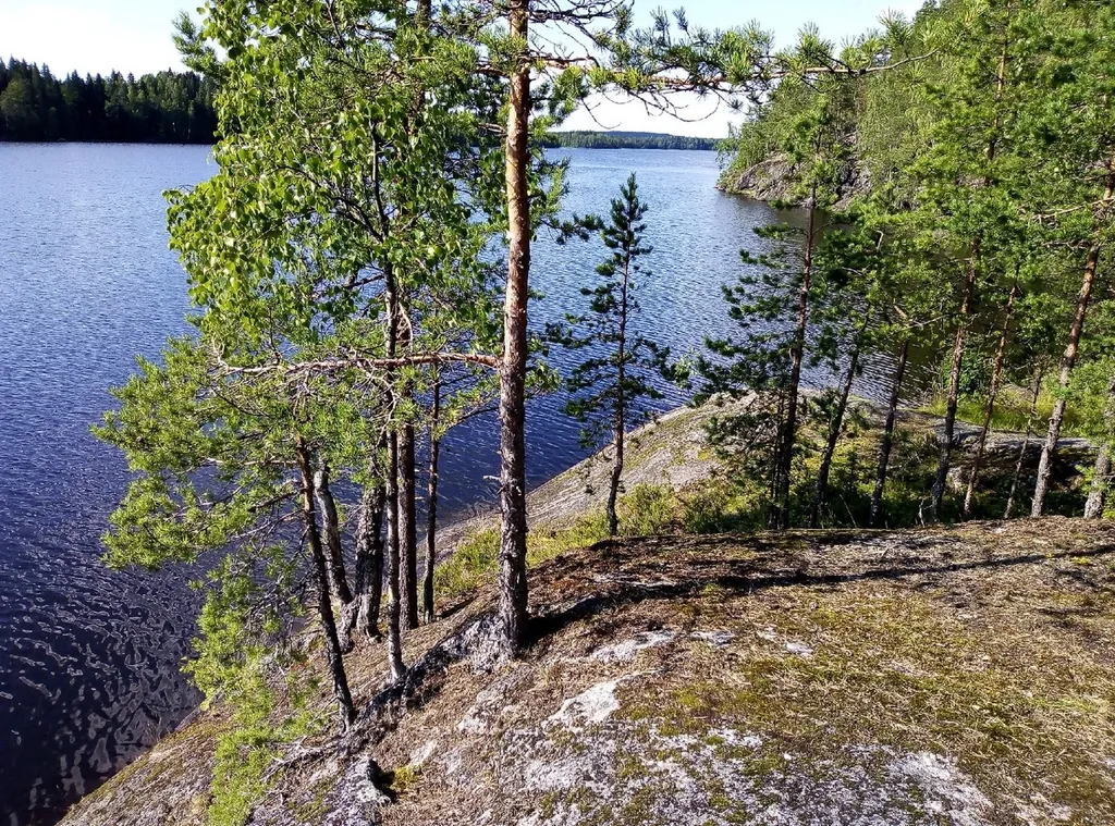 Квартира у Горы Филина