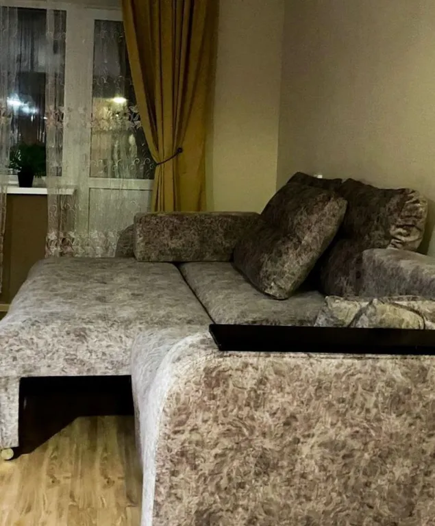 Видовая studio на таможне