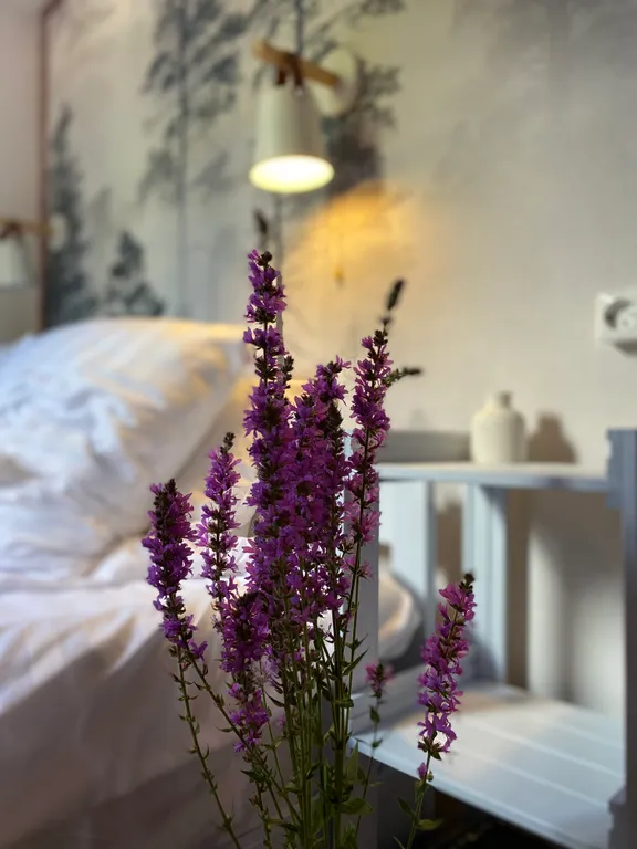 Дом с ковром