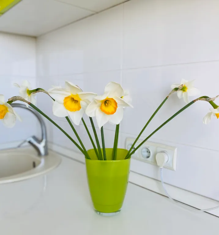 Квартира 1-комнатная Квартира — Калининград